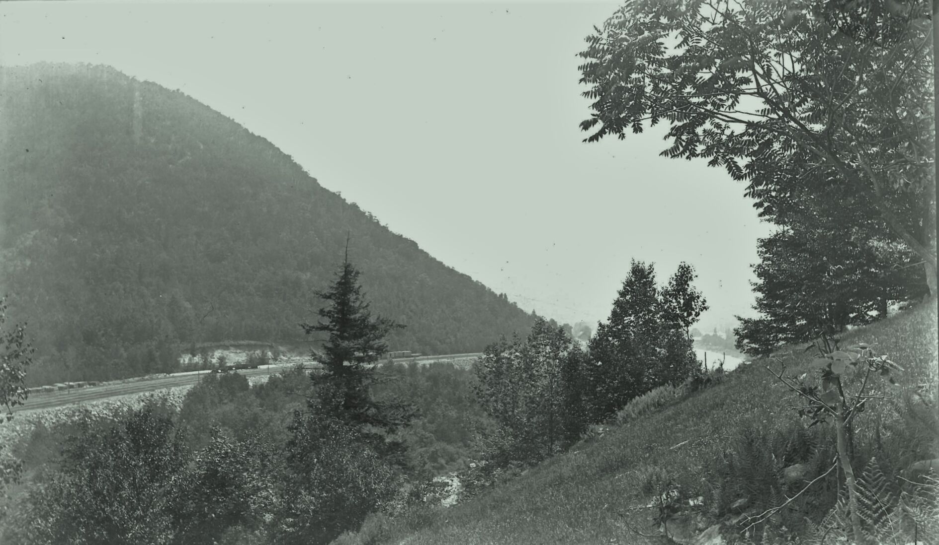 In the distance